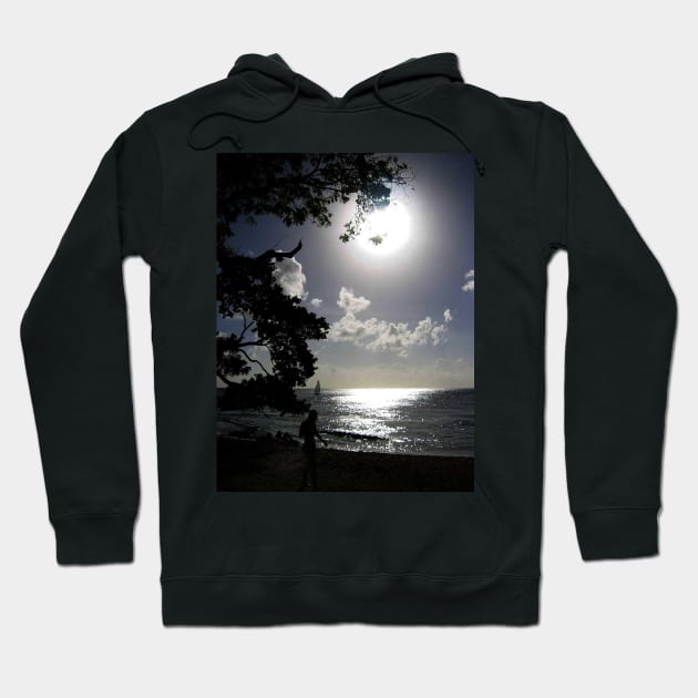 Moonlight Hoodie by JohnDalkin